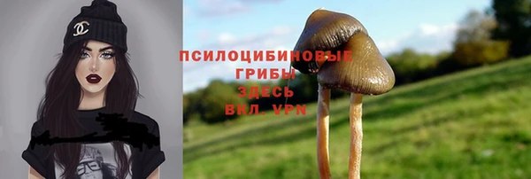 jwh Карпинск