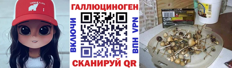 MEGA зеркало  наркошоп  Шимановск  Галлюциногенные грибы MAGIC MUSHROOMS 
