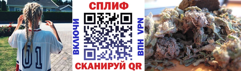 закладки  Шимановск  Бошки марихуана конопля 
